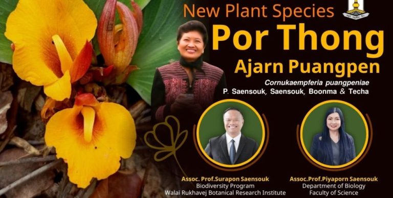 Por Thong Ajarn Puangpen
