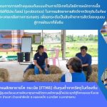 SDGs (FTMR)