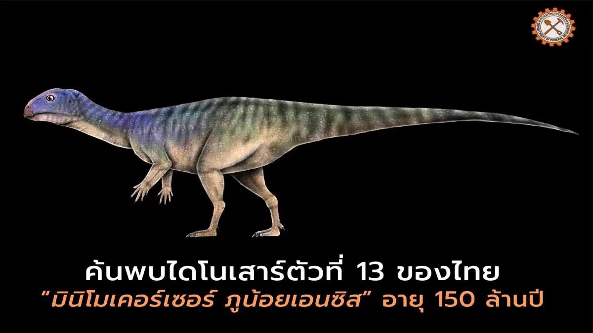 กรมทรัพยากรธรณี ร่วมกับ มมส ค้นพบไดโนเสาร์สายพันธุ์ไทยตัวที่ 13 ของไทย