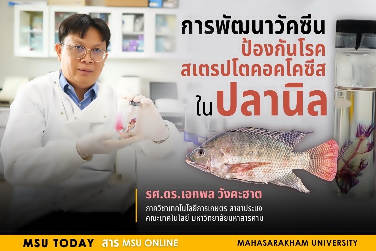 การพัฒนาวัคซีนป้องกันโรคสเตรปโตคอคโคซีสในปลานิล