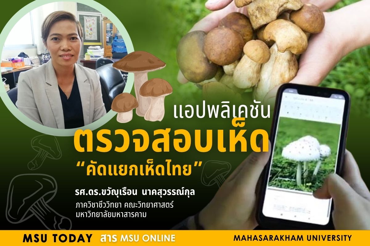 แอปพลิเคชั่นตรวจสอบเห็ด “คัดแยกเห็ดไทย”