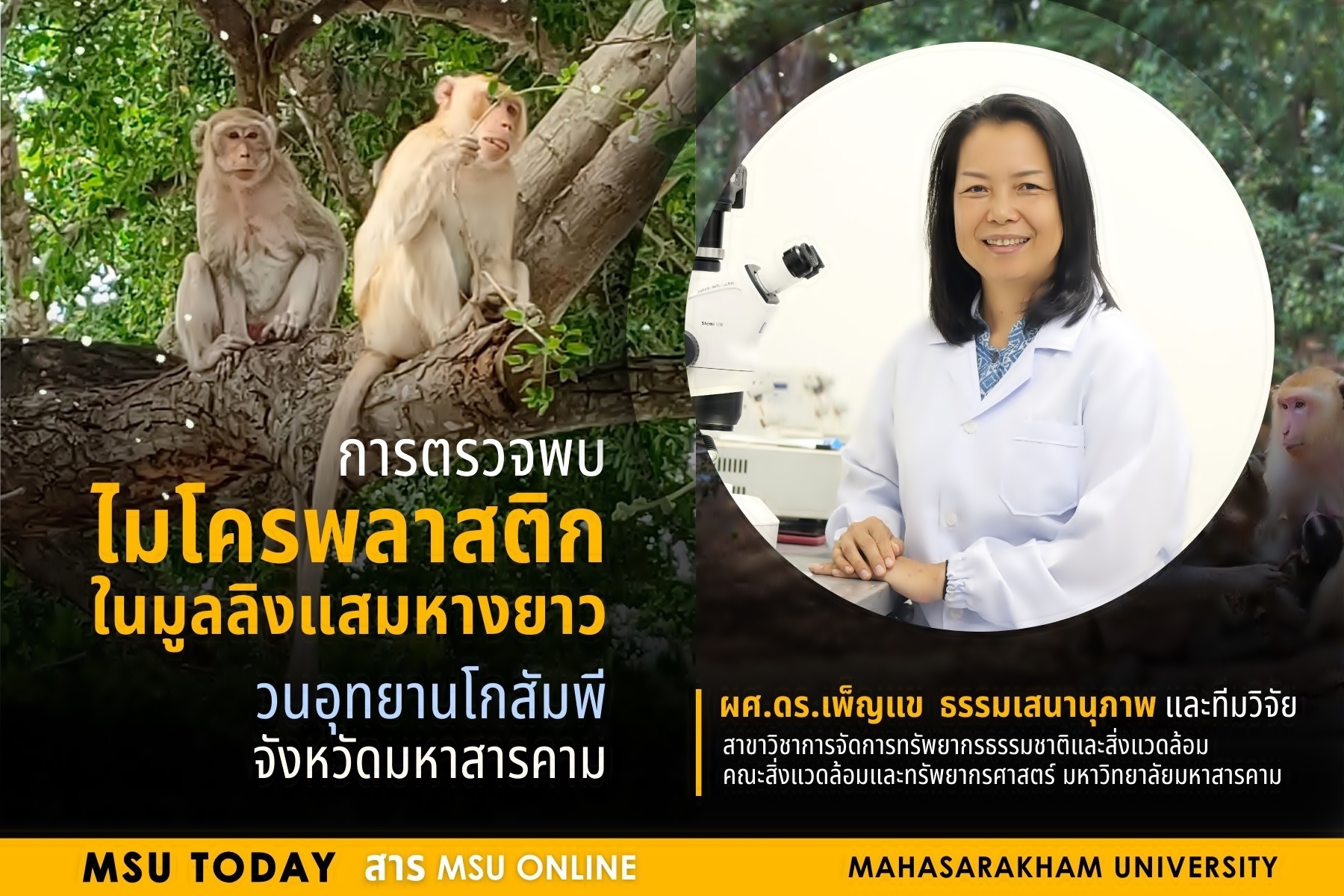 พบไมโครพลาสติกในมูลลิงแสมหางยาวจาก วนอุทยานโกสัมพี