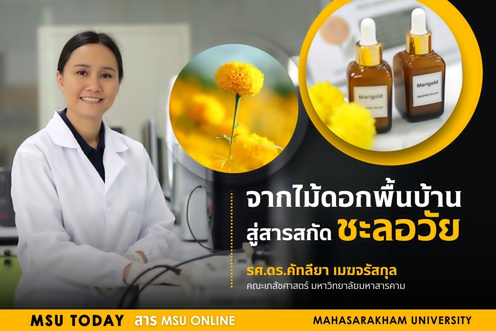 จากไม้ดอกพื้นบ้าน สู่สารสกัดชะลอวัย