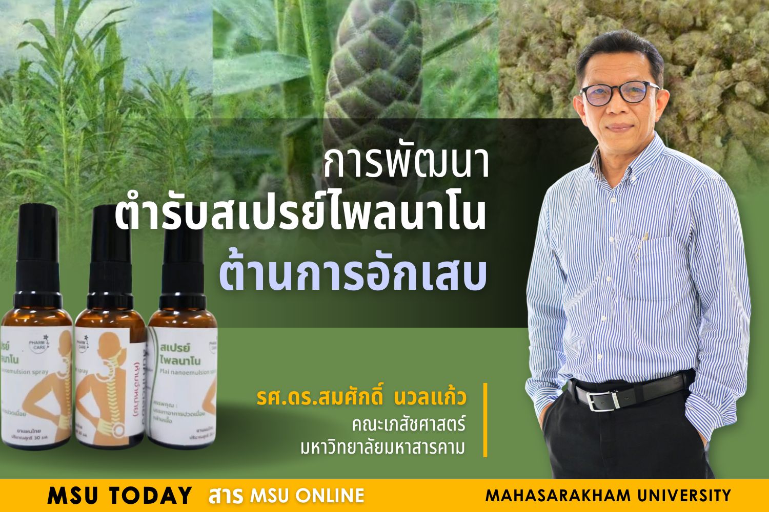 การพัฒนาตำรับสเปร์ยไพลนาโนต้านการอักเสบ