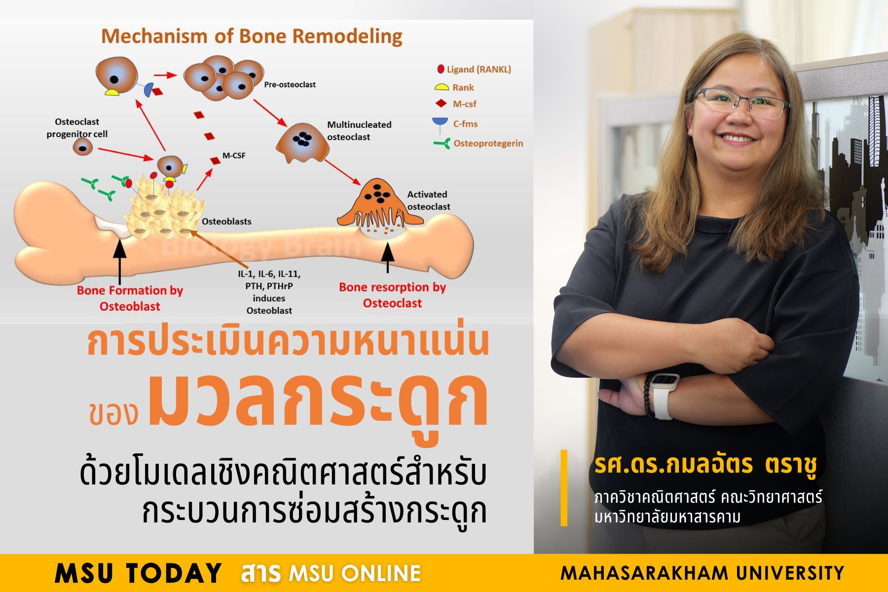 การประเมินมวลกระดูกด้วยโมเดลคณิตศาสตร์